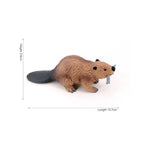 Beaver-6