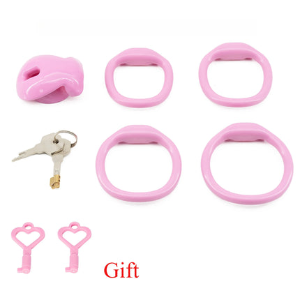 Male Chastity Cage with 4 Size Rings Positive/Negative Chastity Device Sissy Cb Lock Penis Bondage SM Chastity Lock Sex Toys Men