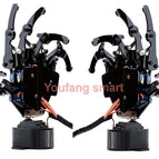 Left and Right hand / China Mainland