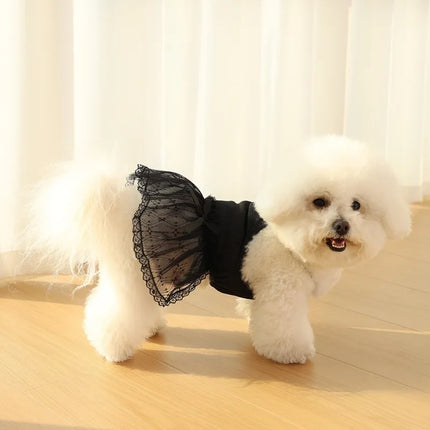 Lace Dog Skirts Pet Dresses Princess Dress Summer Fashion Dog Dresses Teddy Black Dog Vest Cat Dress Chihuahua Pet Clothing