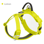 Lemon / L