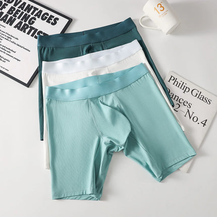 Mens Underwear Boxer Shorts Hombre Soft Nylon Panites Man Breathable U Convex Pouch Extended Underpant Male Trunks Cueca L-XXL
