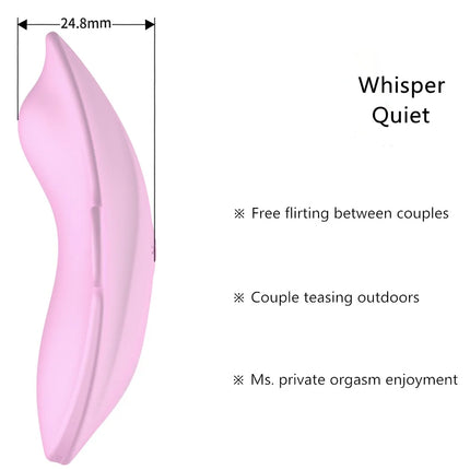 Wearable Vibrator Toy for Women Wireless Panty with Remote Control Bullet Sex Toy Vibrating Panties for Couples with Red Pink
