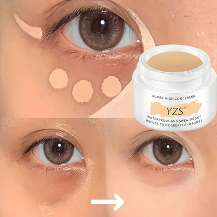 High Coverage Concealer Cover Anti Dark Circle Freckle Long-lasting Waterproof Foundation BB Cream For Face Makeup Base Cosmetic