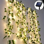 Vine / 50LED
