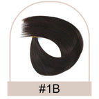 1B / 40G / 12inches