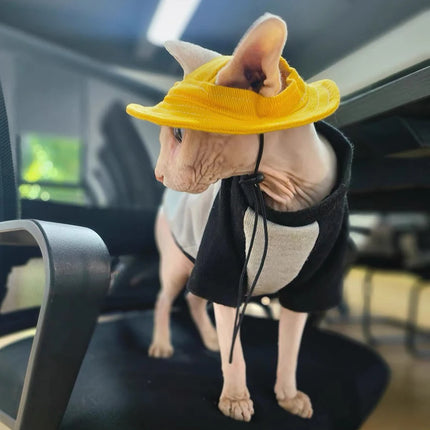 Spring Summer Cotton Cat Hat With Ear Holes For Sphynx Hairless Cats Solid Color Devon Rex Sunscreen Tie Dye Adjustable Hats
