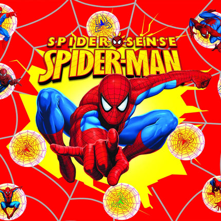 Superhero Themed Customized Boys Birthday Outdoor Party Decoration Banner ProvidedP Portrait Photography Background Studio Props