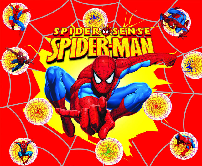 Superhero Themed Customized Boys Birthday Outdoor Party Decoration Banner ProvidedP Portrait Photography Background Studio Props