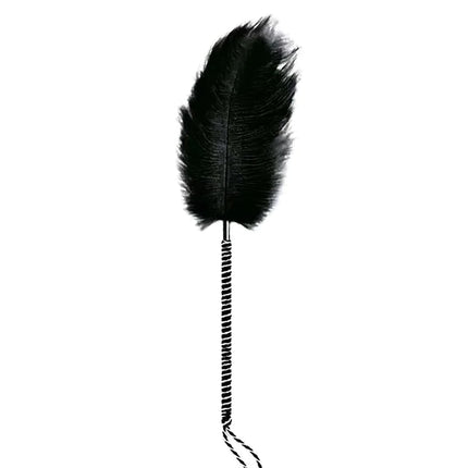 [YA]Flirting Clitoris Tickle Feather Erotic Whip Spanking Adult Sex Toys For Women Product Teasering Nipple Erotic Accessory