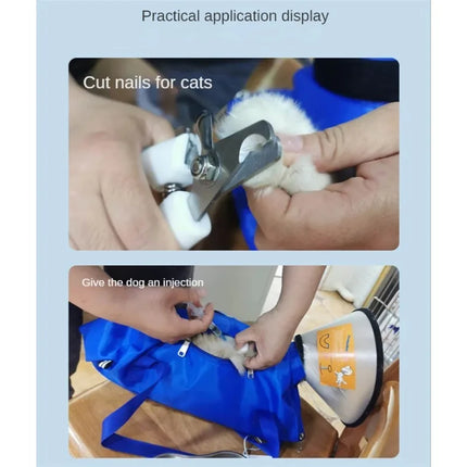 Portable Cat Backpack Pet Summer Outing Foldable Grab Bite Fixed Cat Bag Pet Supplies Transporte Pet Cat Handbag Cat Travel Bags