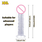 TRANSPARENT - XXL / NEW