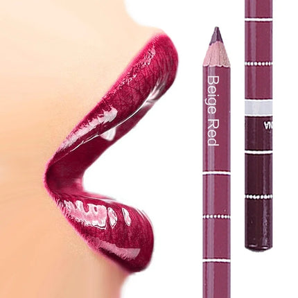 New 2025 Hot Sale New 12 Color 1Set Professional Metal Makeup Pencil Lipstick Suitable Women's Makeup Matching Lipstick Supplies