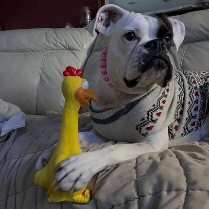 Large Cartoon Latex Screaming Chicken Duck Dog Chew Toy - Durable Natural Rubber Construction, Squeaker for Teeth Grinding