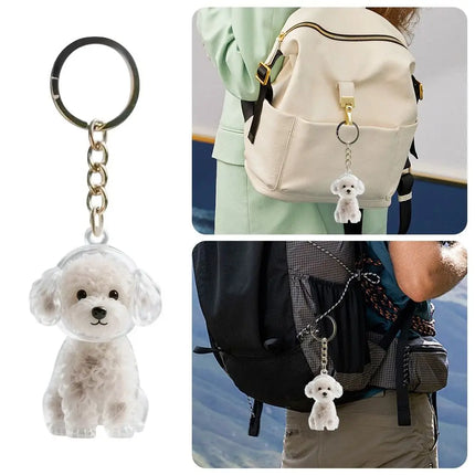 Transparent Dog Fur Storage Fur Storage Capsule DIY Accessories Portable Souvenirs Keychain Handmade Design Pet Hair Container