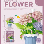 Carnation Potted / with-box