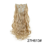 27H613 Curly / 24inches