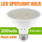 Warm White 200leds