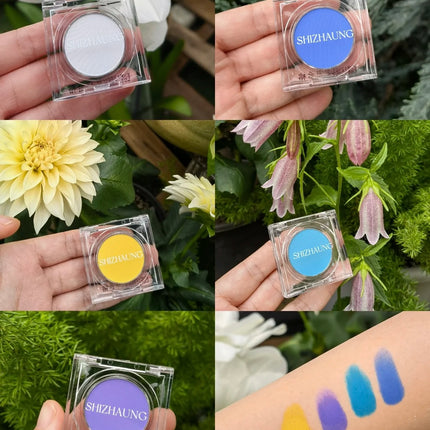 Chameleon Eyeshadow Powder Monochrome Matte Shimmer Metallic Glitter Gothic High Gloss High Colors Fine Flash lasting Eye Makeup