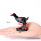 Water Rail
