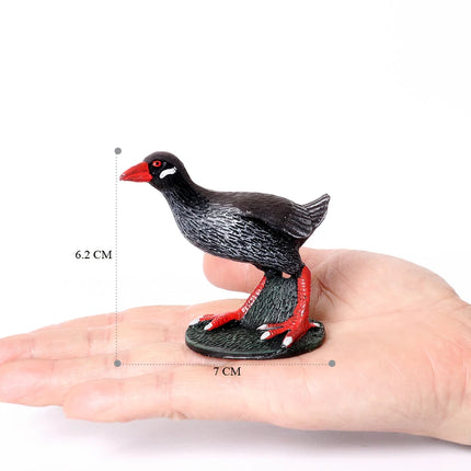 Simulation Bird Animal Kingfisher Robin Magpie Pigeon Hummingbird Model Action Figure Garden Decoration Miniature Figurines Toys