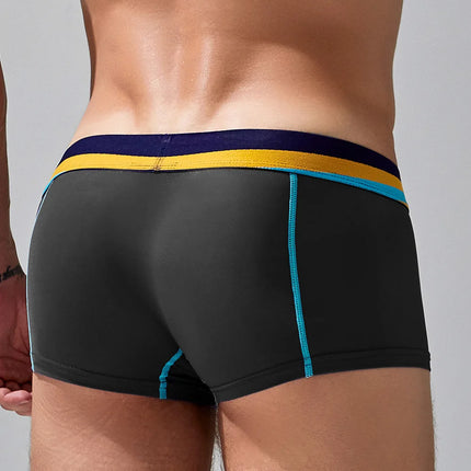 SEOBEAN Men's Sheer Boxer Briefs Nylon Low-Rise Underwear Lightweight Breathable Fashion Stylish Thin See-Through 230215 412114