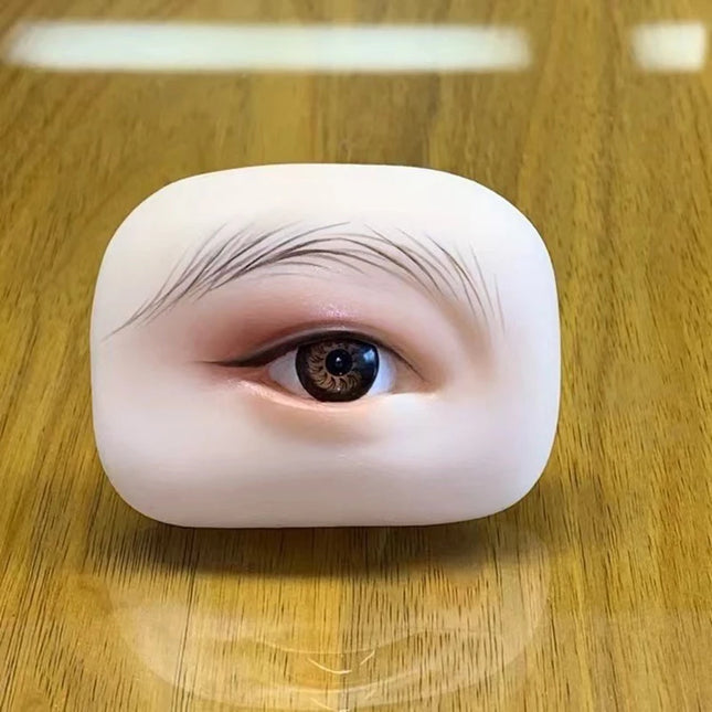 A Pair of Three-Dimensional Eyebrow and Eye Modules with Eye Practice Skin Simulating Human Soft Silicone Line Eyebrow for Beginners