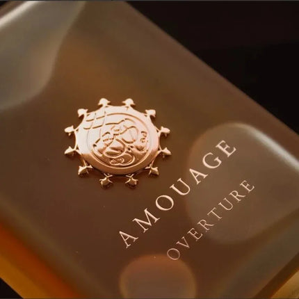 Men’s Eau De Parfum Long Lasting 100ml Aromatic Woody Fragrance with Fresh Warm Clean Notes and Refined Masculine Elegance