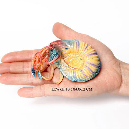 Simulation Marine Mollusc Plastic Model Figures Nautilus Ammonite Squid Octopus Figurine Sealife Animal Educational Toy For Kids