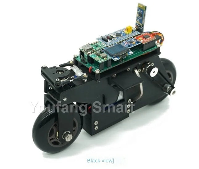 2WD RC Balance Bike Cubli Self-Balancing Flywheel 3D Printing APP Control DC Motor Motorcycle for STM32 Programmable Robot Car