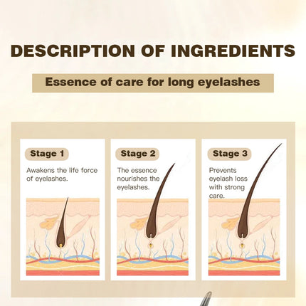 QIBEST Eyelash Makeup Set Eyebrow Eyelash Growth Serum Nourishing Enhance And 4D Black Mascara Curling Thick Lengthening Eyelash