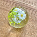 Spring Daisy  1pcs