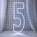 100cm(3.3FT) tall / number 5 / China Mainland