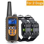 For 2 Dogs