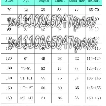 2026 Latest Messi Commemorative Edition Sports T-shirt Outdoor Competition Training Breathable Comfortable Quick Drying Jersey