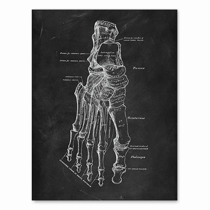 Human Anatomy Artwork Medical Clinic Wall Picture Skeleton Organ Muscle System Vintage Canvas Print Body Education Poster