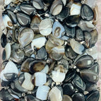 Black agate / 10Pcs