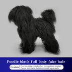 Only Fake hair 1 / China Mainland