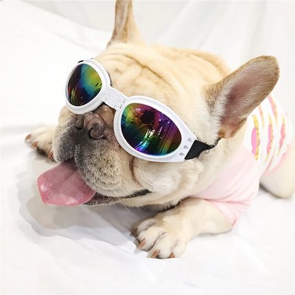 Pet Adjustable Dog Goggles Sunglasses Anti-UV Sun Glasses Eye Wear Protection Black Widely Used Dog Sunglasses Pet Dog Supplies