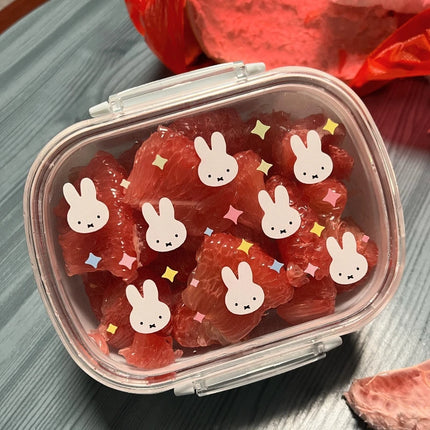 Miffy Lunch Box Cute Lunch Food Container With Lids Sealed Leak-proof Almacenamiento Cocina Portable Fruits Bento Box For Kids