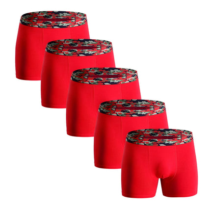 5pcs Boxer Shorts Men Sexy Underwear for Men Cotton Boxers for Man Men's Panties Custom Underpants Male Calecon