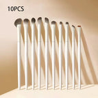10PCS / China Mainland