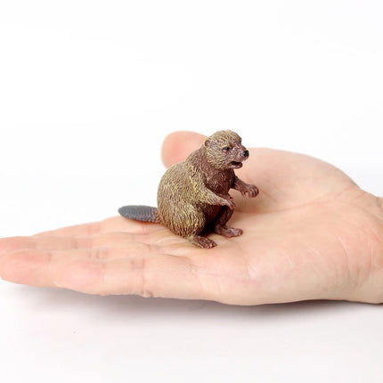Realistic Forest Wild Animal Capybara Beaver Badger Wolverine Raccoon Meerkat Badger Model Figure Collector Toys for Kids