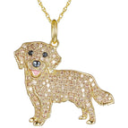 Golden Retriever / 50cm
