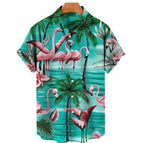 CS2024AQ8568 / XL