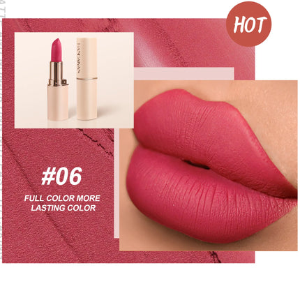 8 Colors Deep Red Matte Lipstick Waterproof Non-Stick Velvet Texture Easy Apply Rose Red Lip Makeup Long-Lasting Cosmetics