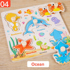 Ocean