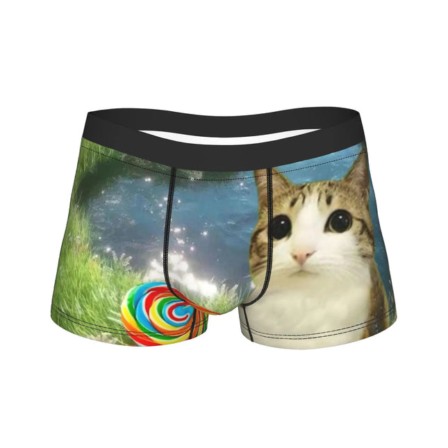 Meowl Cat Owl Cute Pet Stickers Underwear  Comfortable Panties Customs Boxer Brief For Males 3D Pouch Oversize Trunk