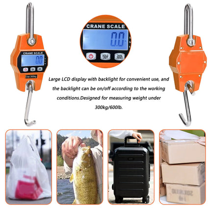 Crane Scale / Balance Suspendue