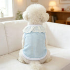 Blue / 5XL